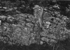 TellNETunisien amenagmtpentes mur-opusAfricanum 100x88
